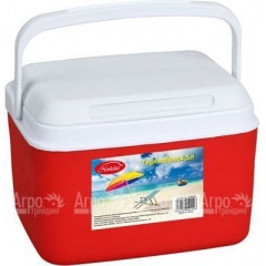 Термобокс Cool Box 4,5 л в Саранске