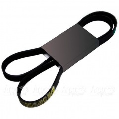 Pubert 0306030002 Ремень привода для ECO, ELITE, PRIMO (с реверсом) 9168 в Саранске