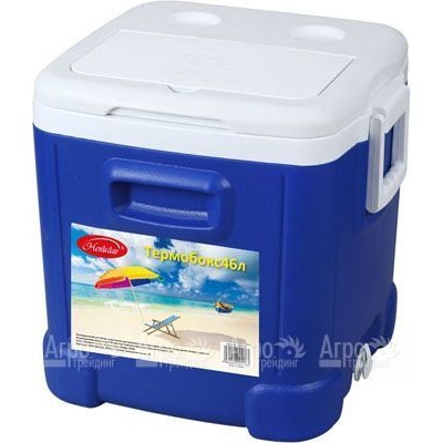 Термобокс Cool Box 46 л  в Саранске
