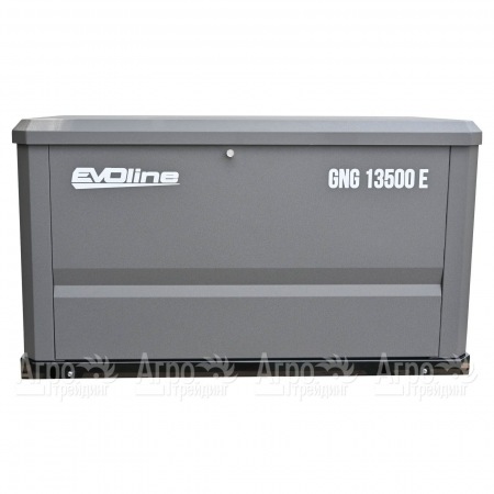 Газовый генератор EVOline GNG 13500 E 12 кВт в Саранске