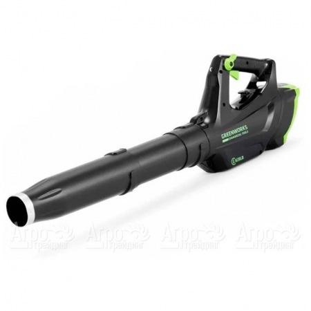 Воздуходувка аккумуляторная GreenWorks GC82BLK5  в Саранске