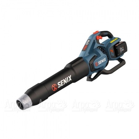 Воздуходувка аккумуляторная Senix BLAX2-M2-EU в Саранске