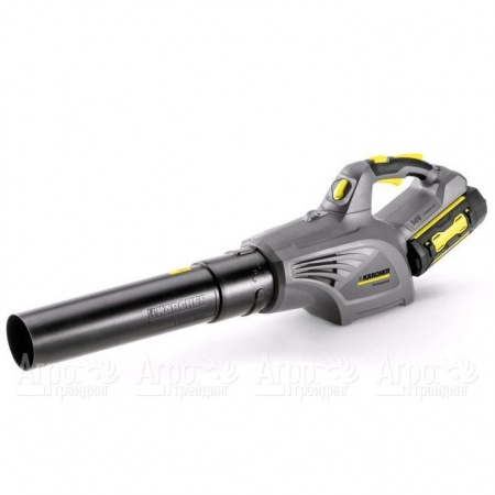 Воздуходувка аккумуляторная Karcher LB 850 Bp в Саранске