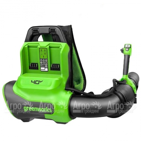 Воздуходувка аккумуляторная GreenWorks GD40BPG2  в Саранске