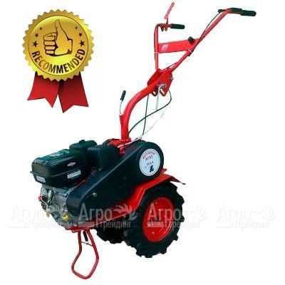 Мотоблок Агат БС-6.5 с двигателем Briggs&#38;Stratton RS 6.5 л.с. (фрезы в комплекте) в Саранске