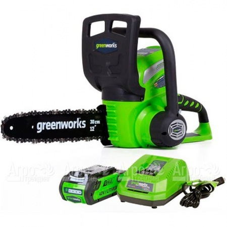 Аккумуляторная пила GreenWorks G40CS30II-12" 2 Ач в Саранске