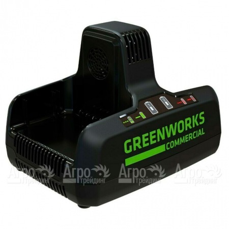 Быстрое зарядное устройство GreenWorks G82C2  в Саранске