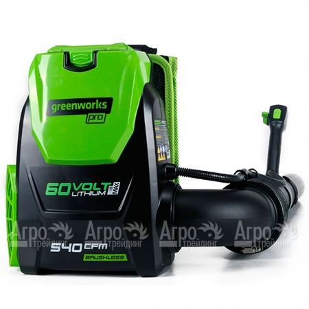 Воздуходувка аккумуляторная GreenWorks GD60BPB (без батареи и зарядного устройства)  в Саранске