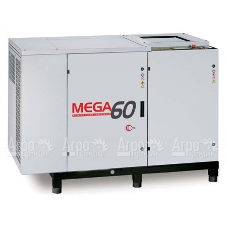 Винтовой компрессор Fini Mega 6013  в Саранске