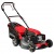Газонокосилка бензиновая EVOline LMG 51 CS в Саранске