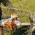 Аккумуляторная пила Stihl MSA 220 C-B-16" (без аккумулятора и зарядного устройства) в Саранске